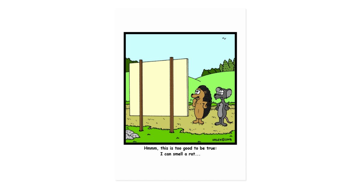 Smell A Rat Rat Cartoon Postcard Zazzle Com Au