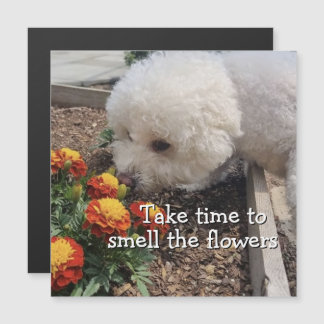 Smell the Flowers