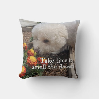 Smell the Flowers Cushion