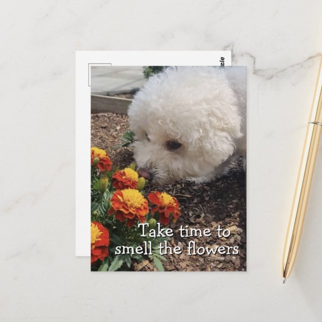 Smell the Flowers Postcard (Front/Back In Situ)