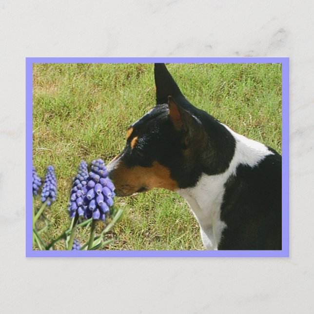 Smell the Flowers Postcard (Front)