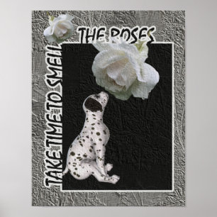 Smell The Roses Dalmatian Puppy Inspirational Poster