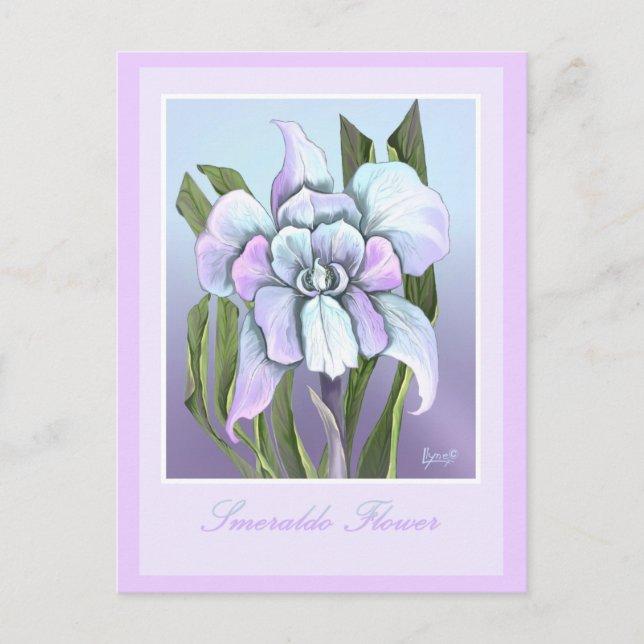 Smeraldo Flower Postcard (Front)