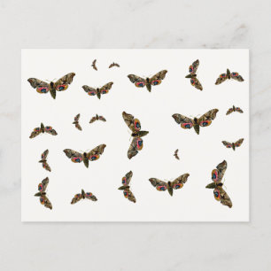 Smerinthus ocellata - Eyed Hawk-Moth - Colour Imag Postcard