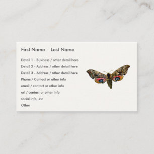 Smerinthus ocellata - Eyed Hawk-Moth Colour Image Business Card