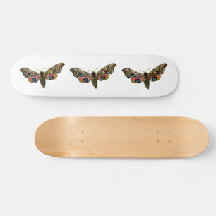 Smerinthus ocellata - Eyed Hawk-Moth Colour Image Skateboard