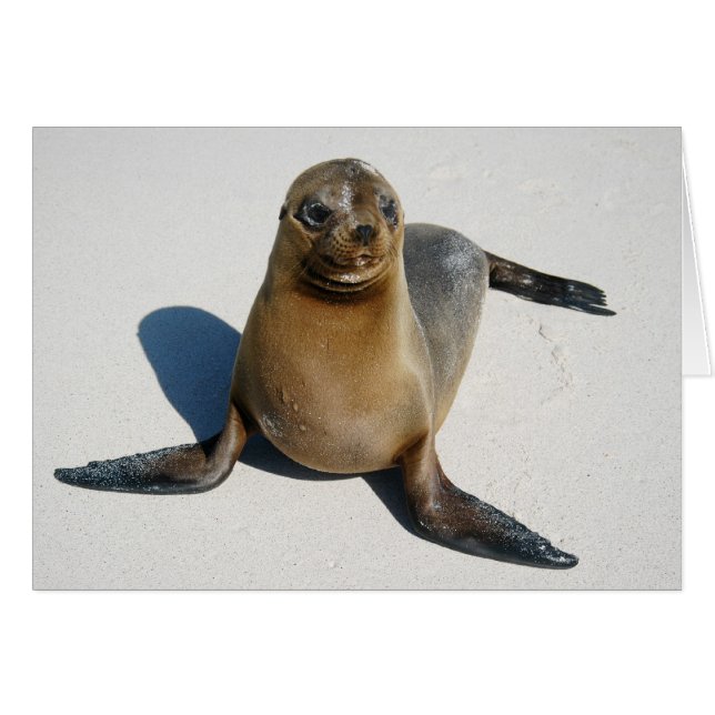 Smile (Front Horizontal)