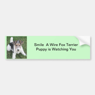 Smile A Wire Fox Puppy is Watching You Bumper Sticker