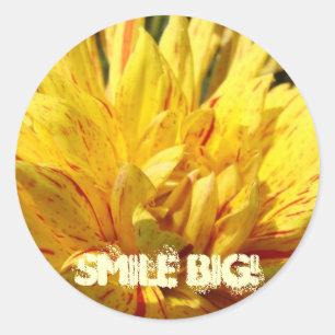 Smile Big! stickers Yellow Red Dahlia Flowers