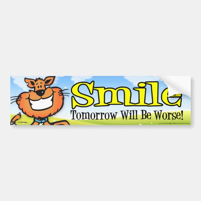Smile Bumper Sticker (Front)