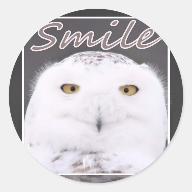 Smile Classic Round Sticker (Front)