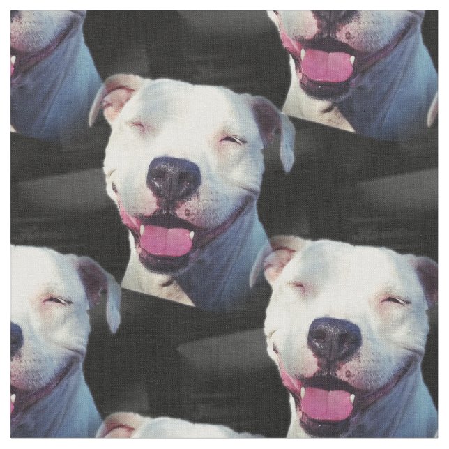 Smile Fabric (Close Up)