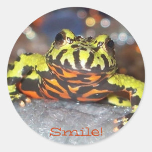 Smile!  Fire belly toad stickers