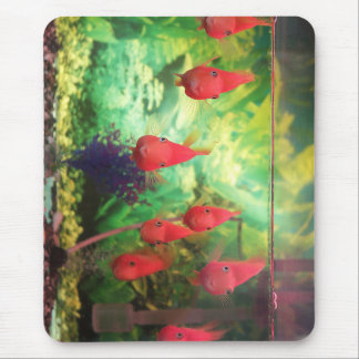 smile, fish, aquatic mouse pad