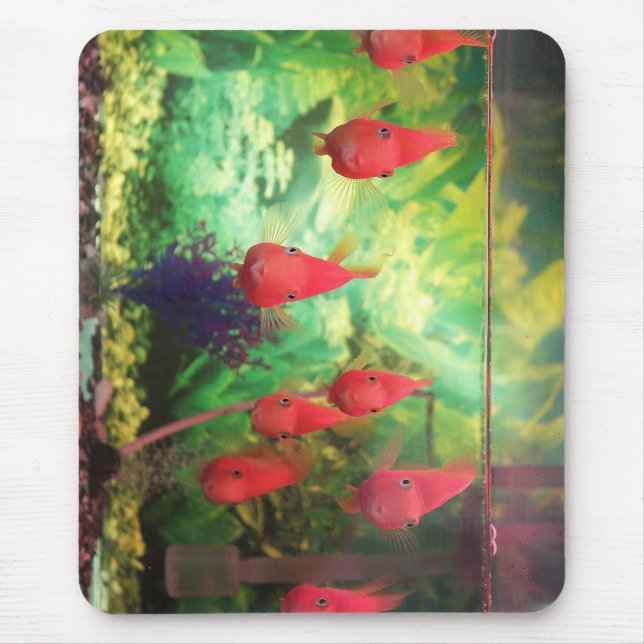 smile, fish, aquatic mouse pad (Front)