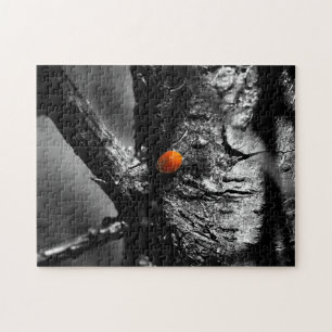 smile for a ladybug jigsaw puzzle