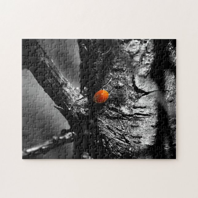 smile for a ladybug jigsaw puzzle (Horizontal)