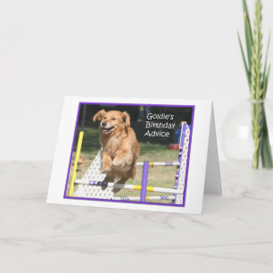 'Smile' Golden Retriever Agility Birthday Card
