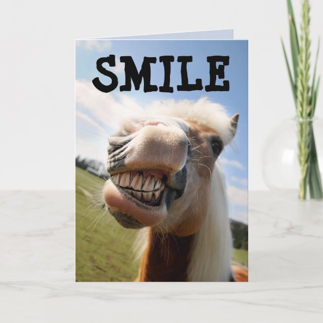 SMILE HORSE FUNNY BIRTHDAY CARDS (Front)
