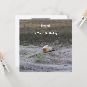 Smile! It's Your Birthday!!' Seal Greeting Card 