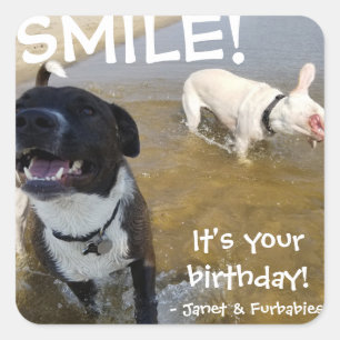 Smile, It's Your Birthday Sticker