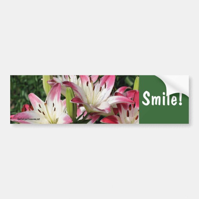 Smile Lily Flower Inspirational Bumper Sticker (Front)