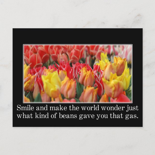 Smile & make the world wonder about your lunch postcard (Front)