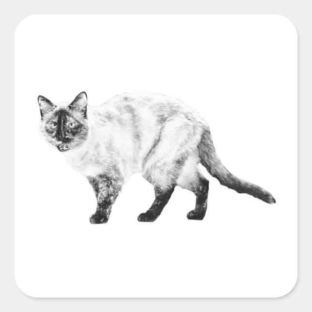 Smile Marker, Shaded Cat Sticker (Front)