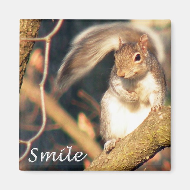 Smile Mr. Squirrel Magnet (Front)