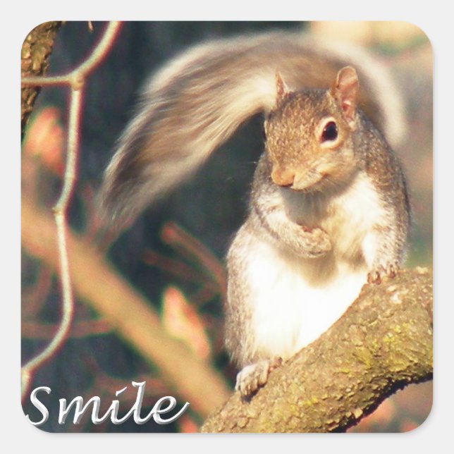 Smile Mr. Squirrel Sticker (Front)