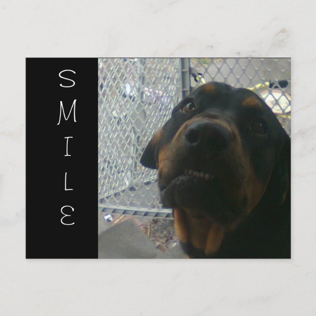 SMILE POSTCARD (Front)