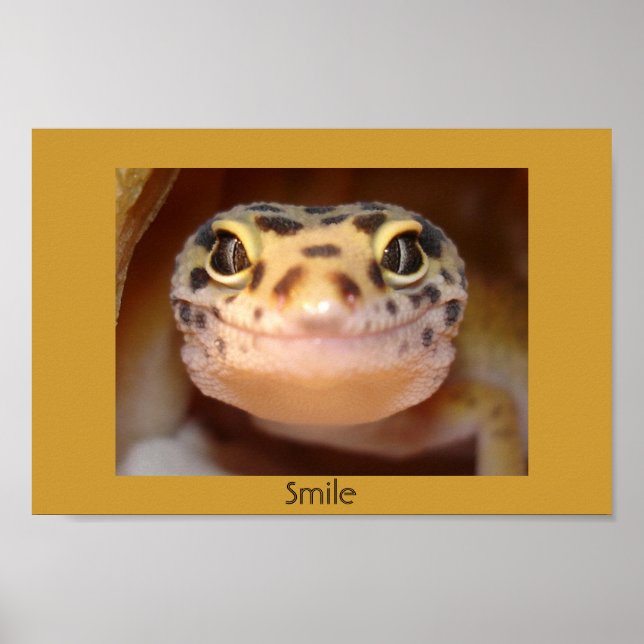 Smile Poster (Front)