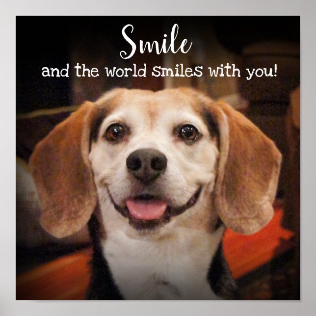 Smile Quote Cute Beagle Dog Smiling Photo Poster (Front)