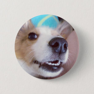 Smile! Sheltie button