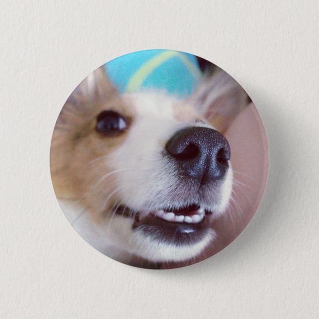 Smile! Sheltie button (Front)