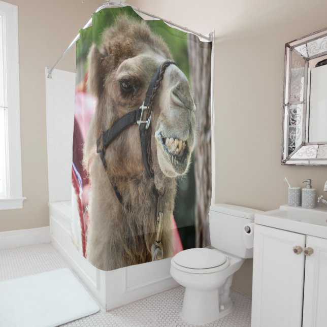 Smile Shower Curtain (In Situ)