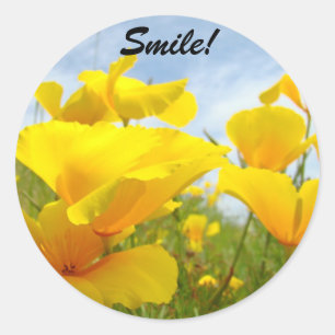 Smile stickers Bright Sunny Orange Poppy Flowers