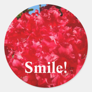 Smile! stickers Red Rhodies Flowers Happy