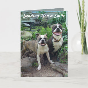 Smile Thinking of you Miss you Card