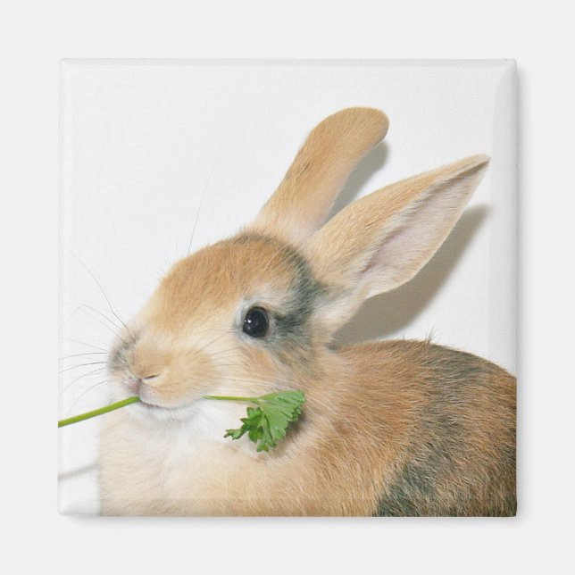 Smile when you eat that magnet (Front)