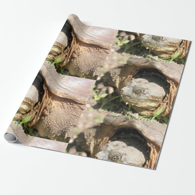 Smile Wrapping Paper (Unrolled)