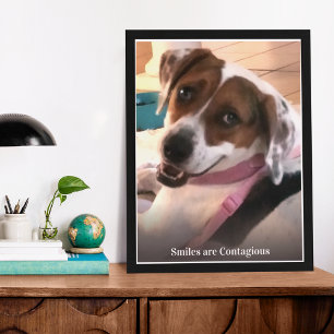 Smiles Are Contagious Smiling Dog Photo Print