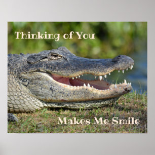 Smiling Alligator Grinning Gator Poster