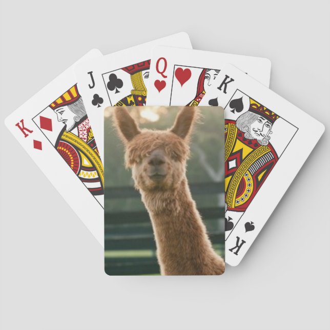 Smiling alpaca playing cards (Back)