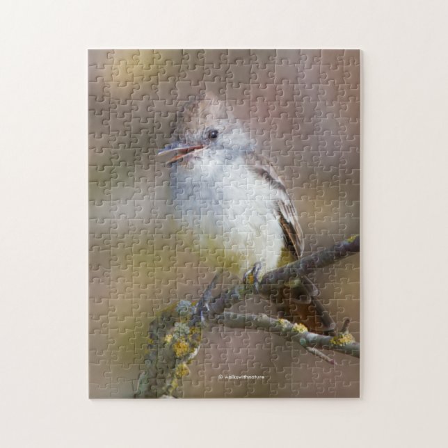 Smiling Ash-Throated Flycatcher on Hawthorn Branch Jigsaw Puzzle (Vertical)