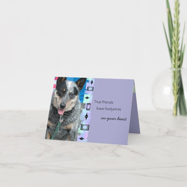 Smiling Australian Cattle Dog Birthday Greeting Card (Front)