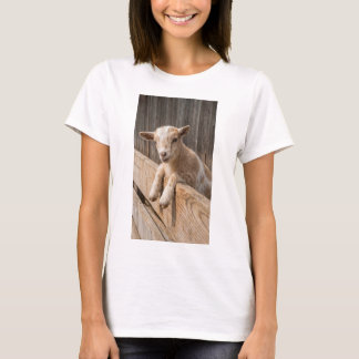 Smiling Baby Goat Rustic Farmhouse Wall Art Canvas T-Shirt