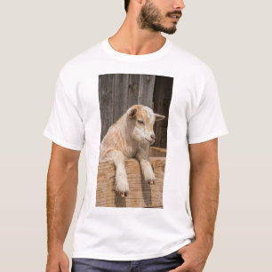 Smiling Baby Goat Rustic Farmhouse Wall Art Canvas T-Shirt