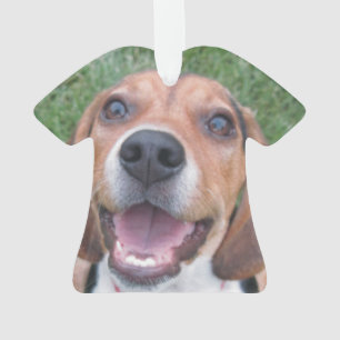 Smiling Beagle Puppy Ornament