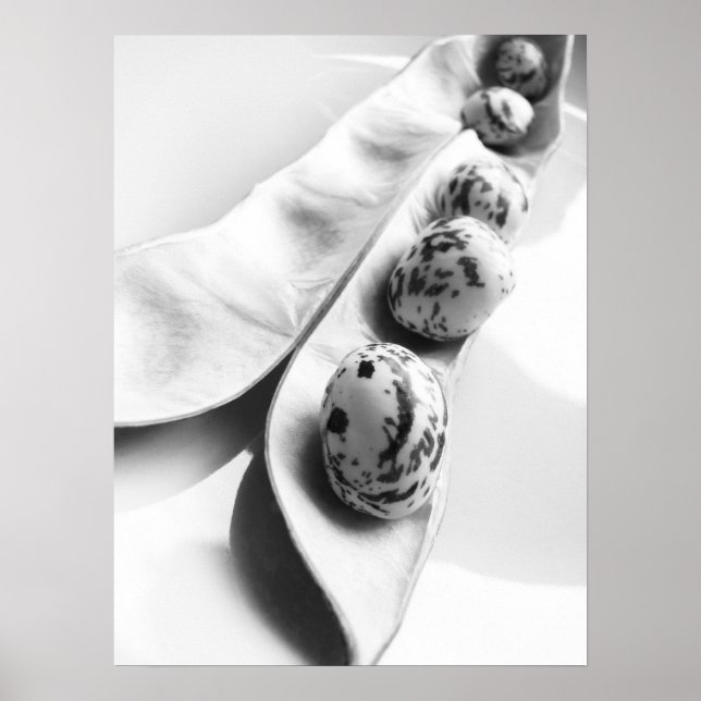 Smiling Bean Poster (Front)